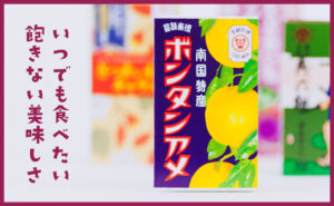セイカ食品ＨＰ